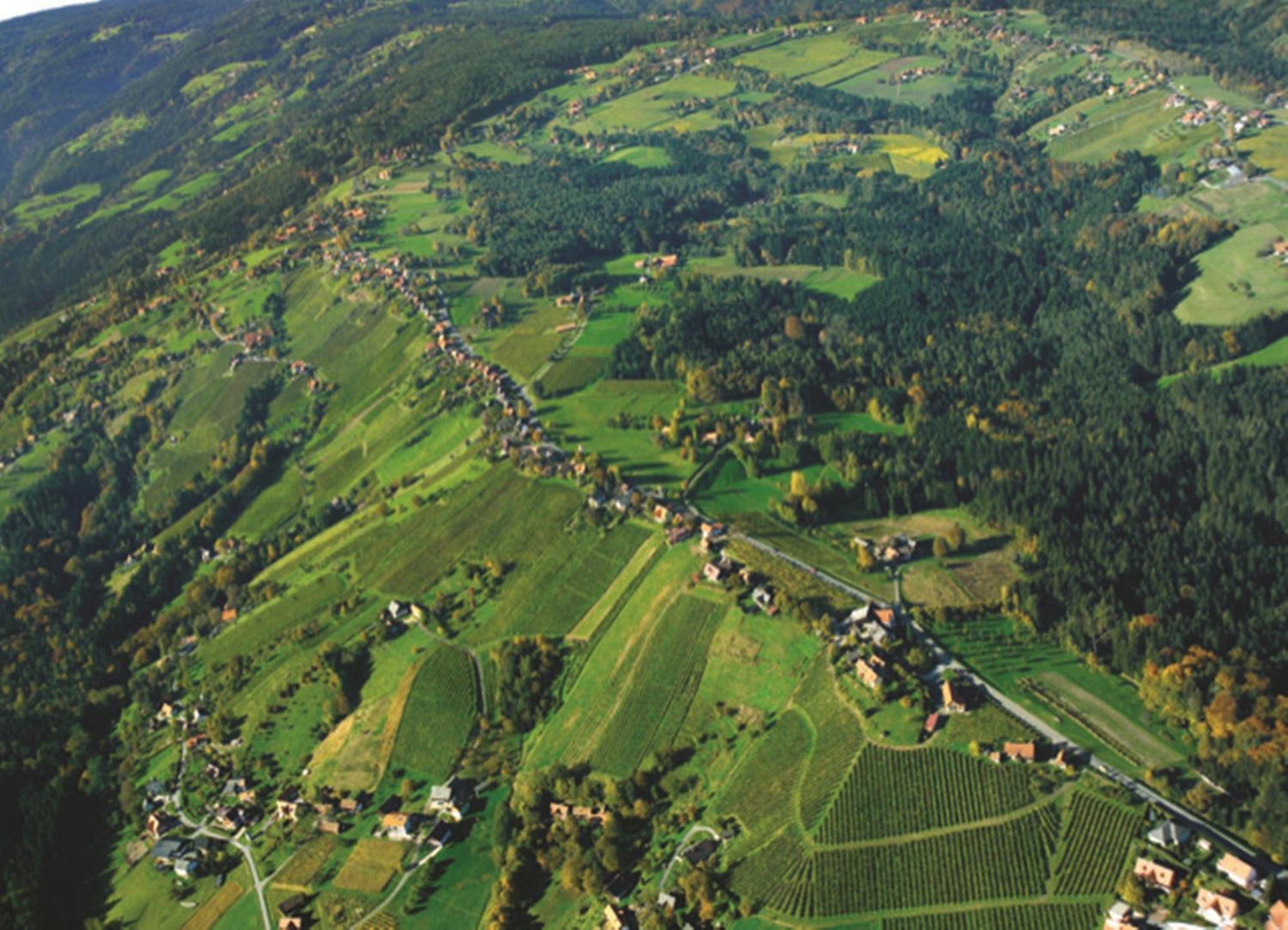 Hotel Stainzerhof Exteriér fotografie